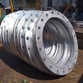 Super DS UNS S32760 Flanges
